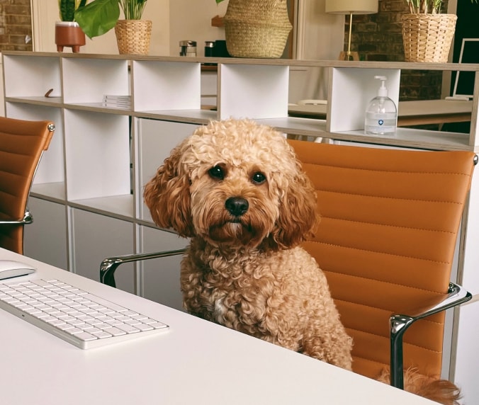 Henry sitting at a desk